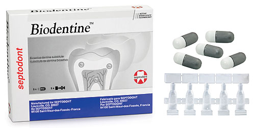 SEPTODONT BIODENTINE - Üyelere Özel + KDV